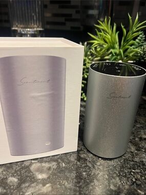 Sentiment Mini Diffuser Silver